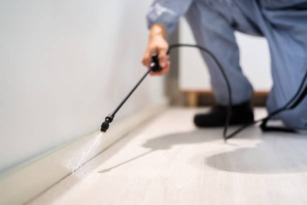 Licensed Termite Control service in Gregory County County, SD - Nex Pest Control